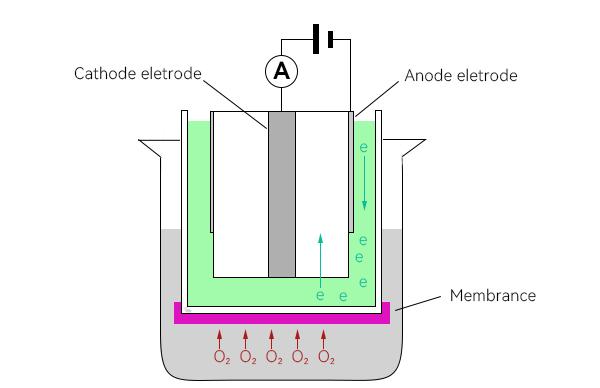 DO electrode