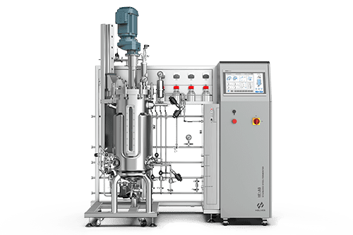 Automatic Stainless Steel Fermenter