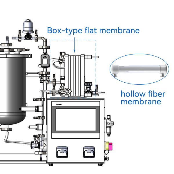 Hollow fiber and box-type flat membrane