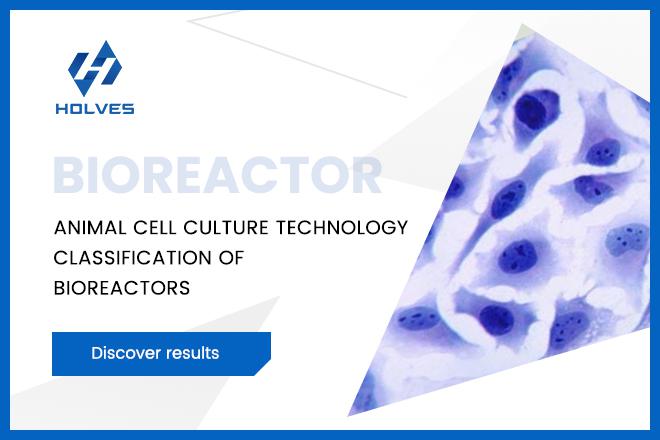 Classification of animal cell bioreactors