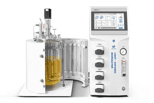 Light-exposed Bioreactor