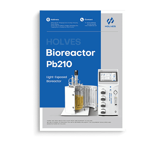 Light-exposed Bioreactor