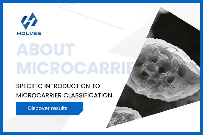 <b>Type of microcarrier</b>