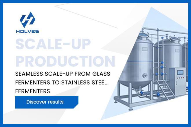 Fermenter Scale-Up Process