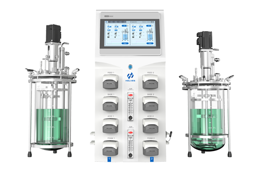 Laboratory Duplex Fermenter