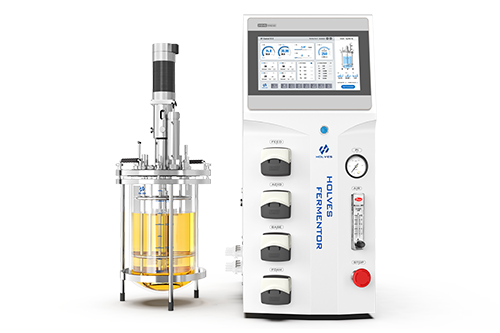 Laboratory Advanced Fermenter