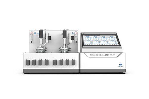 Laboratory Parallel Bioreactor