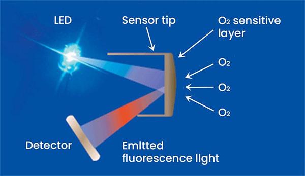 optical dissolved oxygen electrodes