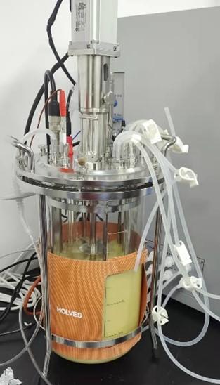 bioreactor