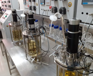 bioreactor bioreactor
