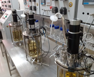 bioreactor