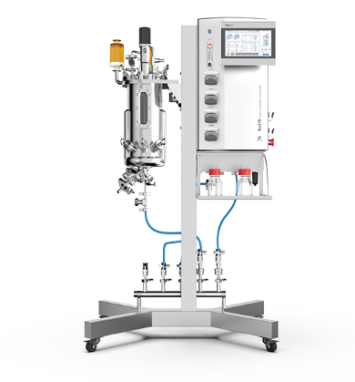 Stainless steel bioreactor