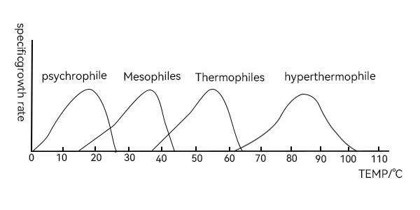 Temperature conditions of the strains Temperature conditions of the strains