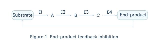 End-product feedback inhibition