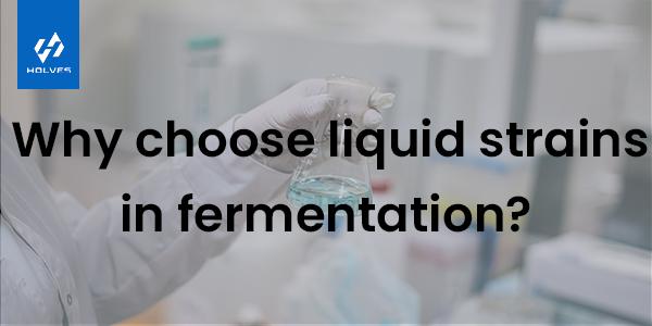 Why choose liquid strains for fermentation