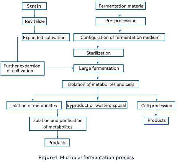 Microbial fermentation process