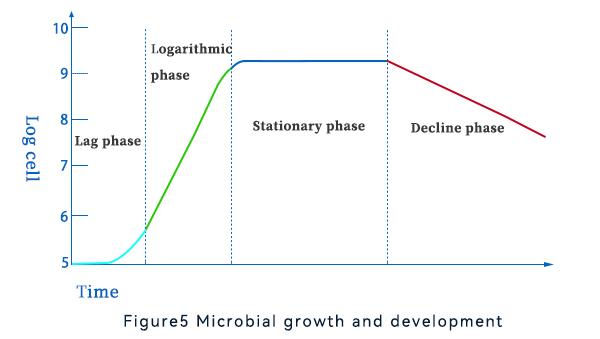 Microbial growth and development