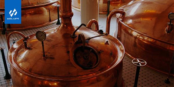 The role of fermenters in beer fermentation