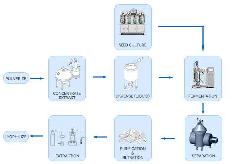 Biofermentation Extraction Flowchart Biofermentation Extraction Flowchart