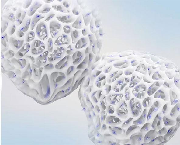 Cellulose microcarriers