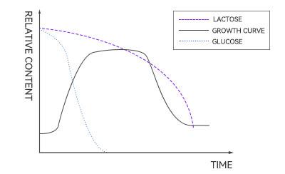 Growth of E.coli in different media
