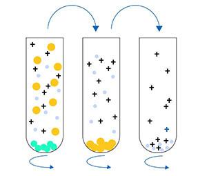 Ultracentrifugation Ultracentrifugation