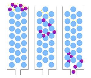 SEC size exclusion SEC size exclusion
