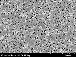 Clarification and filtration Clarification and filtration