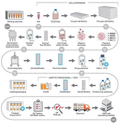 Purification and sterilization Purification and sterilization
