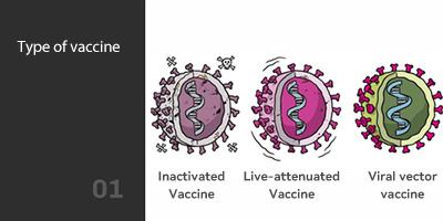 Type of vaccine