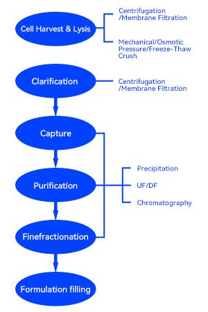 Continuous Production Process