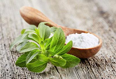 CM-Stevia rebaudiana Bertoni CM-Stevia rebaudiana Bertoni