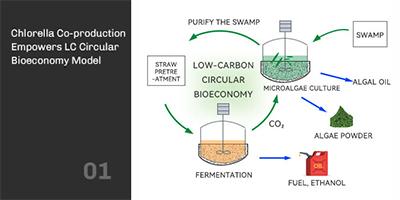 The New Energy Potential of Biomanufacturing The New Energy Potential of Biomanufacturing