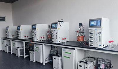 Laboratory Fermenter Laboratory Fermenter