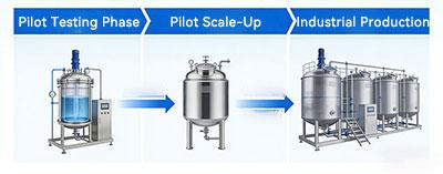 Fermenter Scale-Up Process
