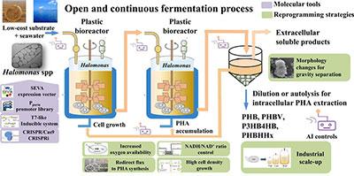 Next-Generation Industrial Biotechnology Processes Based on Halomonas Next-Generation Industrial Biotechnology Processes Based on Halomonas
