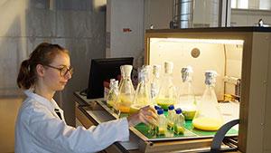 Julia Baumgartner working on different microalgae cultivations in our shaking incubators Julia Baumgartner working on different microalgae cultivations in our shaking incubators