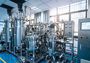 HOLVES - Fermenter Project Site