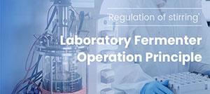 Principles of Fermenter Agitation Control
