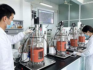 Fermentor Liquid Volume