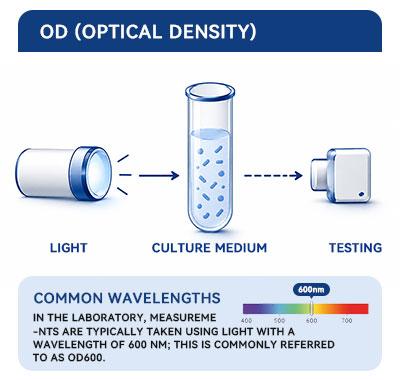 About OD600
